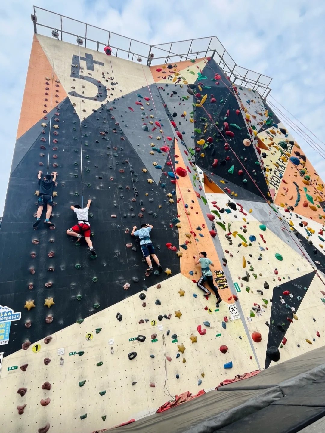 开云首页登录-大型森林高空绳索探索，刺激十足的极限体验