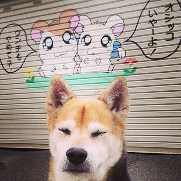 开云官方-NBA裁判误判风波再起，联盟公布最新技术报告，nba裁判错判或漏判会不会有惩罚