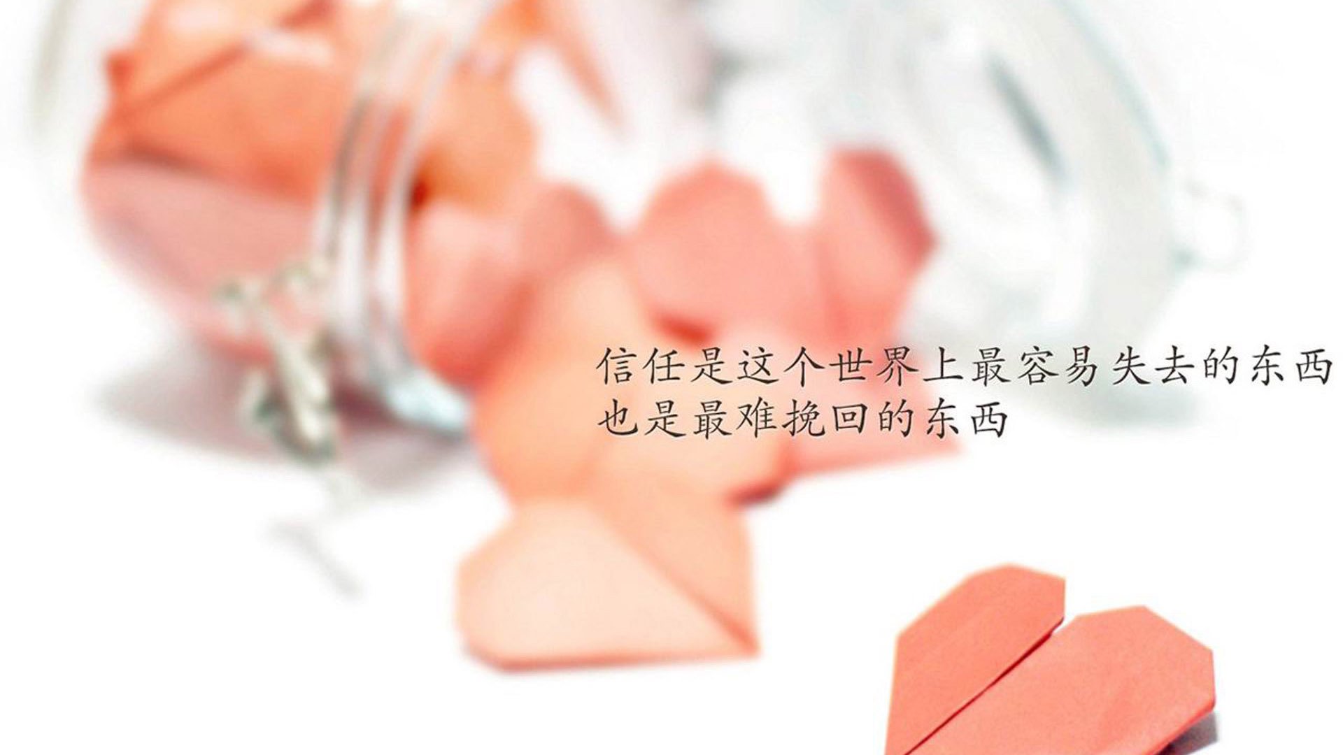 _国际羽毛球联合会大奖赛落幕,高手云集_,国际羽毛球联合会排名