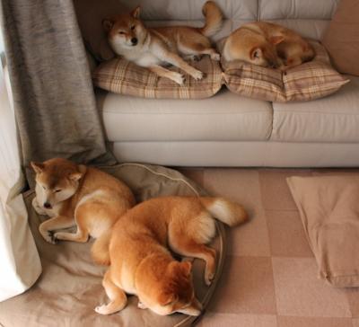 KAIYUNAPP-_运动员身体健康与运动表现关系探究_，运动员身体状况