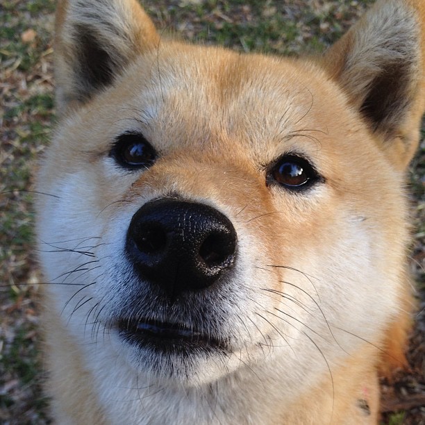 _运动员身体健康与运动表现关系探究_,运动员身体状况