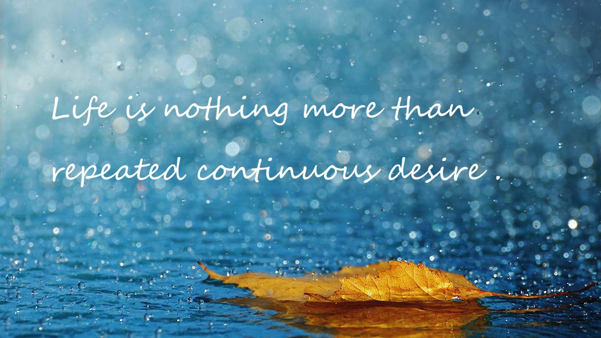 “高精度追踪系统:开启极限运动表现全场景监控新时代”