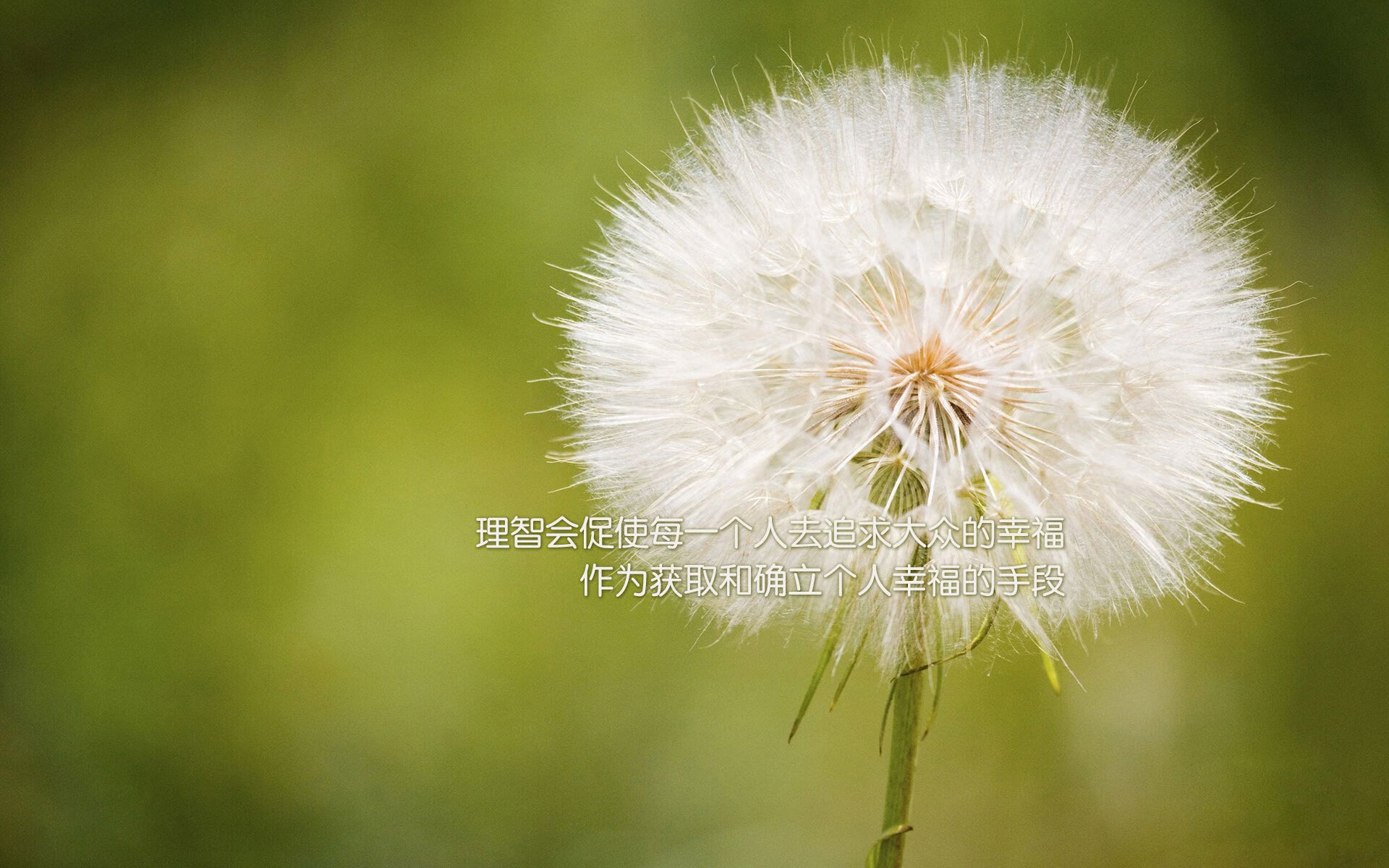 中国高校篮球联赛全面升级,吸引众多年轻人,中国高校校友篮球联赛