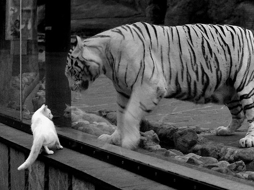 光明记忆未来战队虚拟对抗赛引爆全场观众热情,光明记忆国服