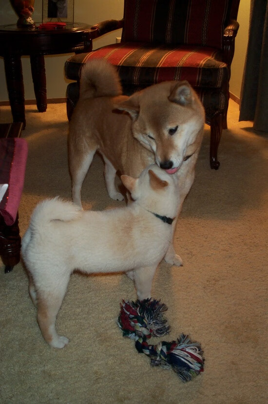 史上“突破”得分纪录：谁的表演最令人震撼？，年度突破演员奖含金量高不