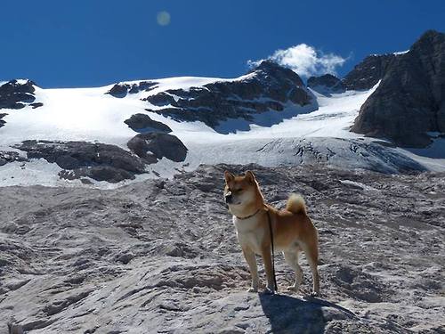 史上前十球员:谁是你心中的“超级巨星”?,史上十大球员