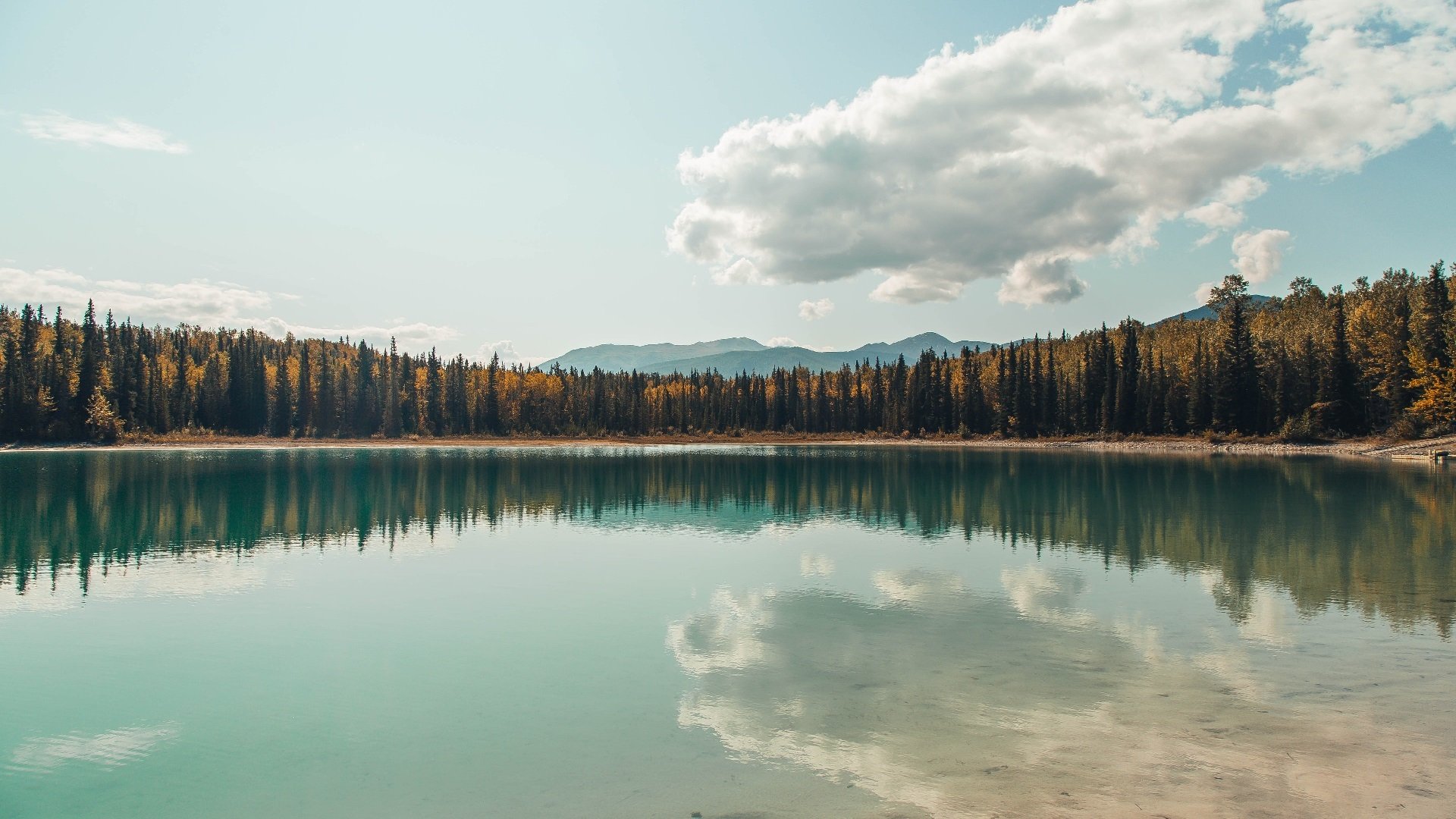 夜场战役:最受期待的晚间比赛前瞻,夜场战队名称