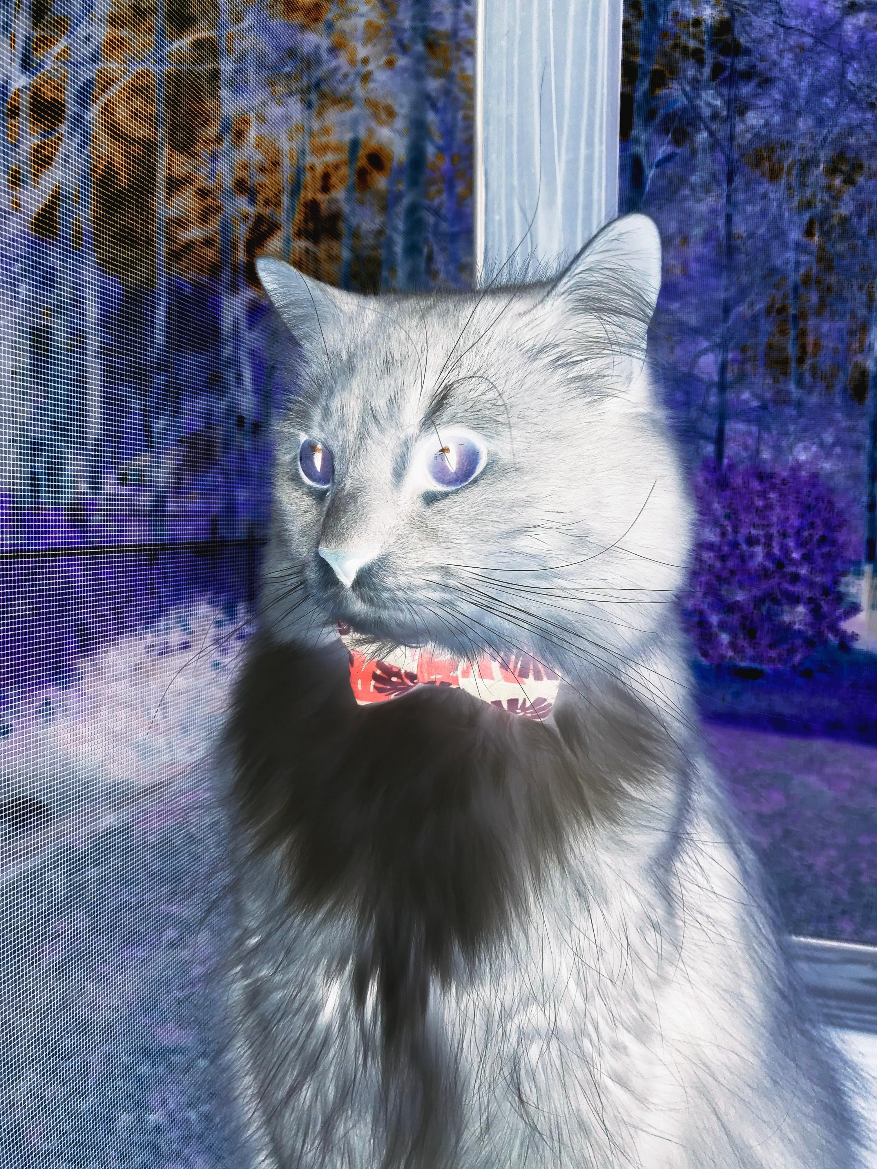 开云中国大陆-球场硬汉：最刚猛的防守者盘点，防守强硬的球员