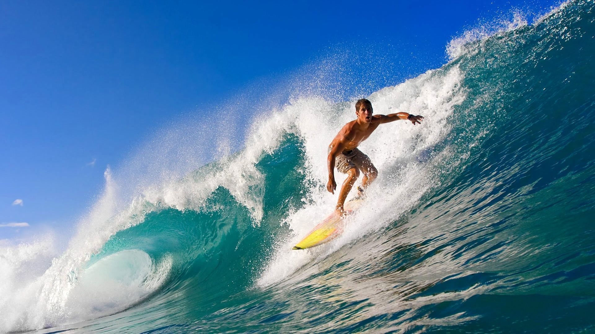 球场硬汉:最刚猛的防守者盘点,防守强硬的球员