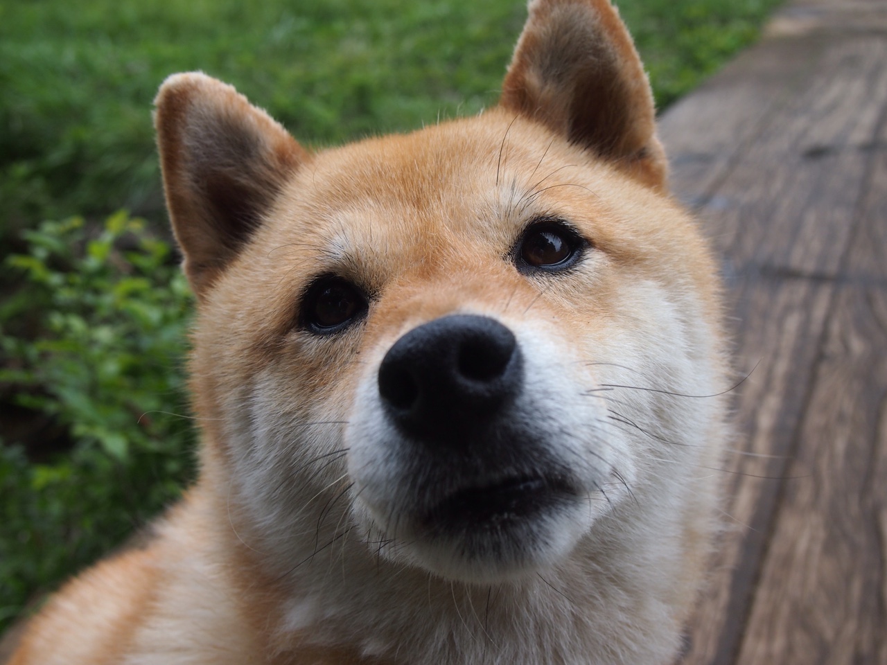 开云下载-篮球赛事多平台直播覆盖面不断扩大，篮球赛直播用哪个平台