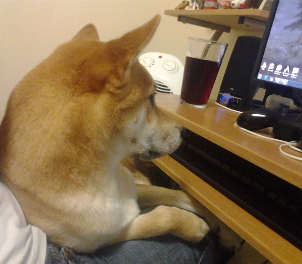 赛季最佳阵容:联盟明星的最强五人组合,lol明星选手排名