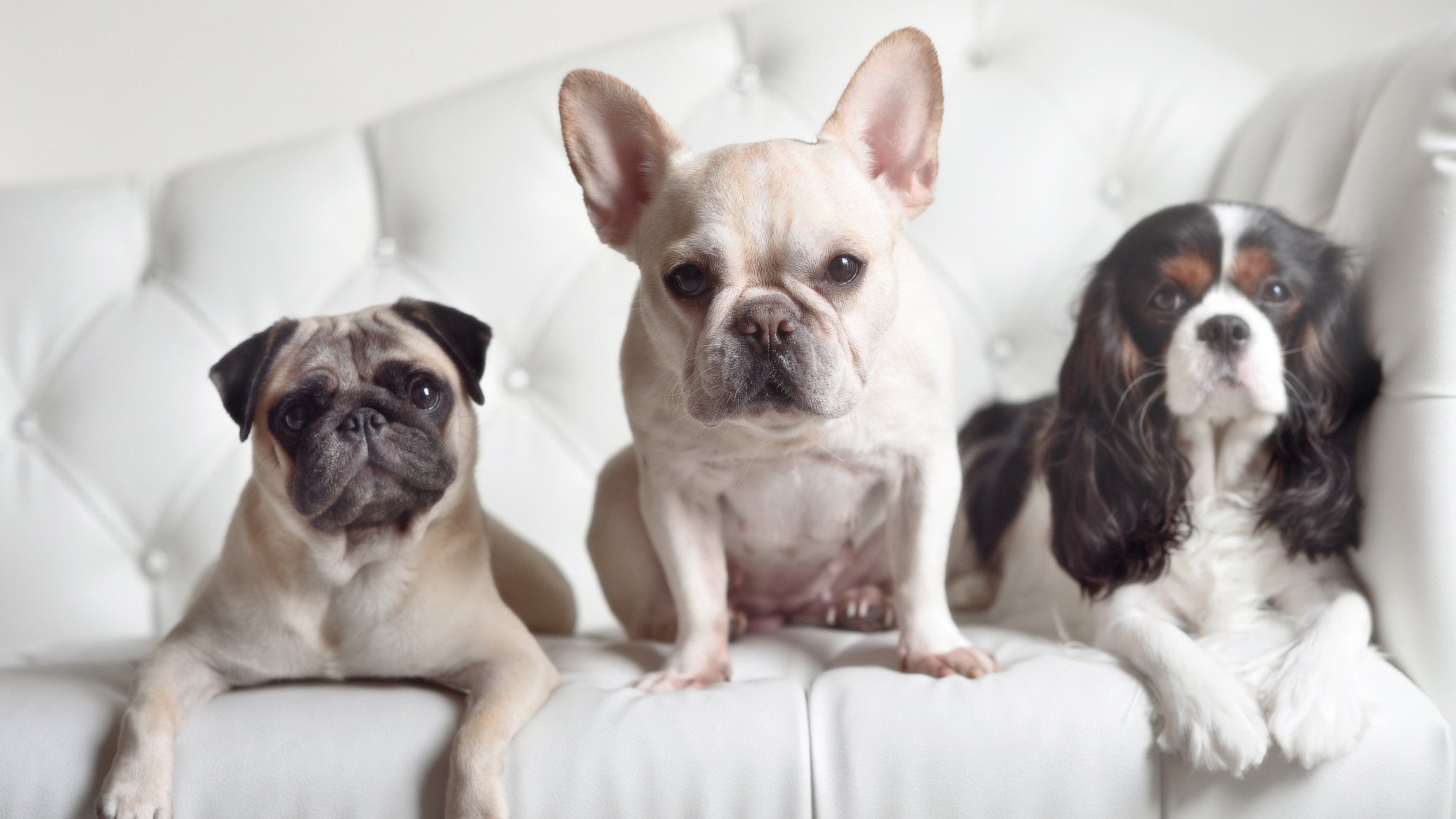 kaiyun登录入口-逆风起飞：最令人鼓舞的欧冠逆转故事，欧冠逆转之王