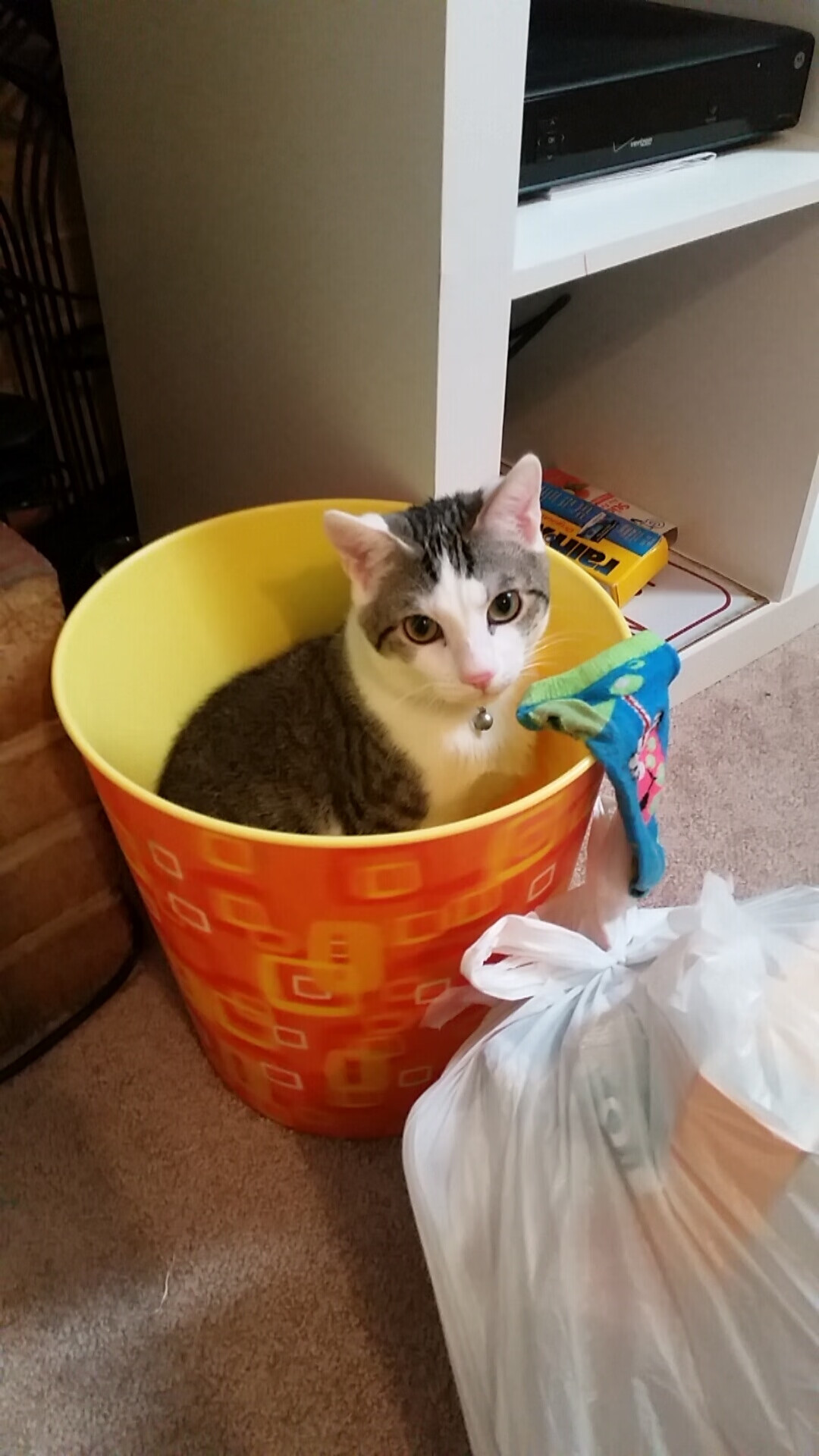 “科目三”广场舞在广西大化县火爆出圈