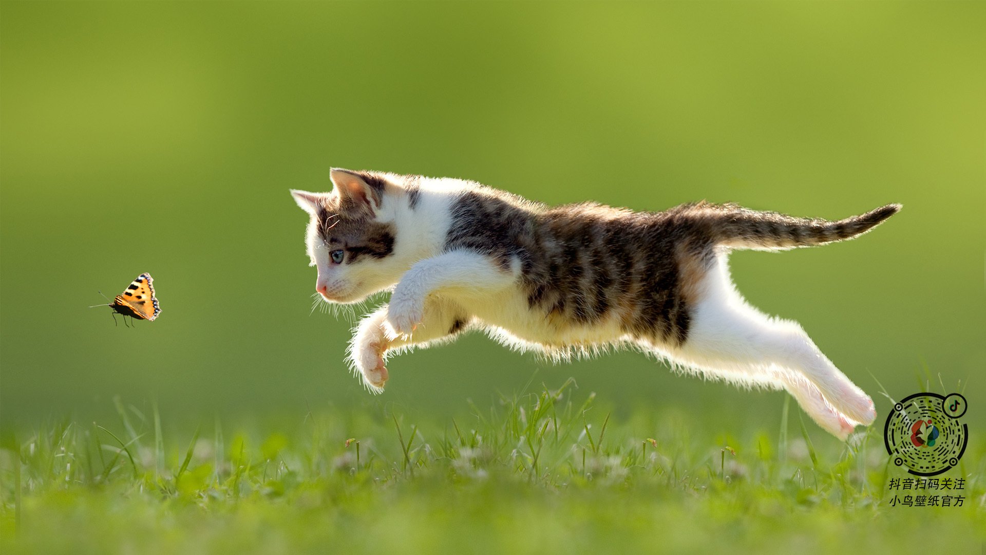 勒沃库森球员参加国际比赛,勒沃库森著名球员