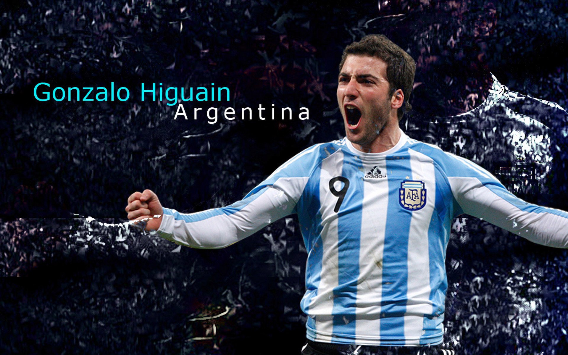 勒沃库森签下国际新星，勒沃库森签下国际新星了吗