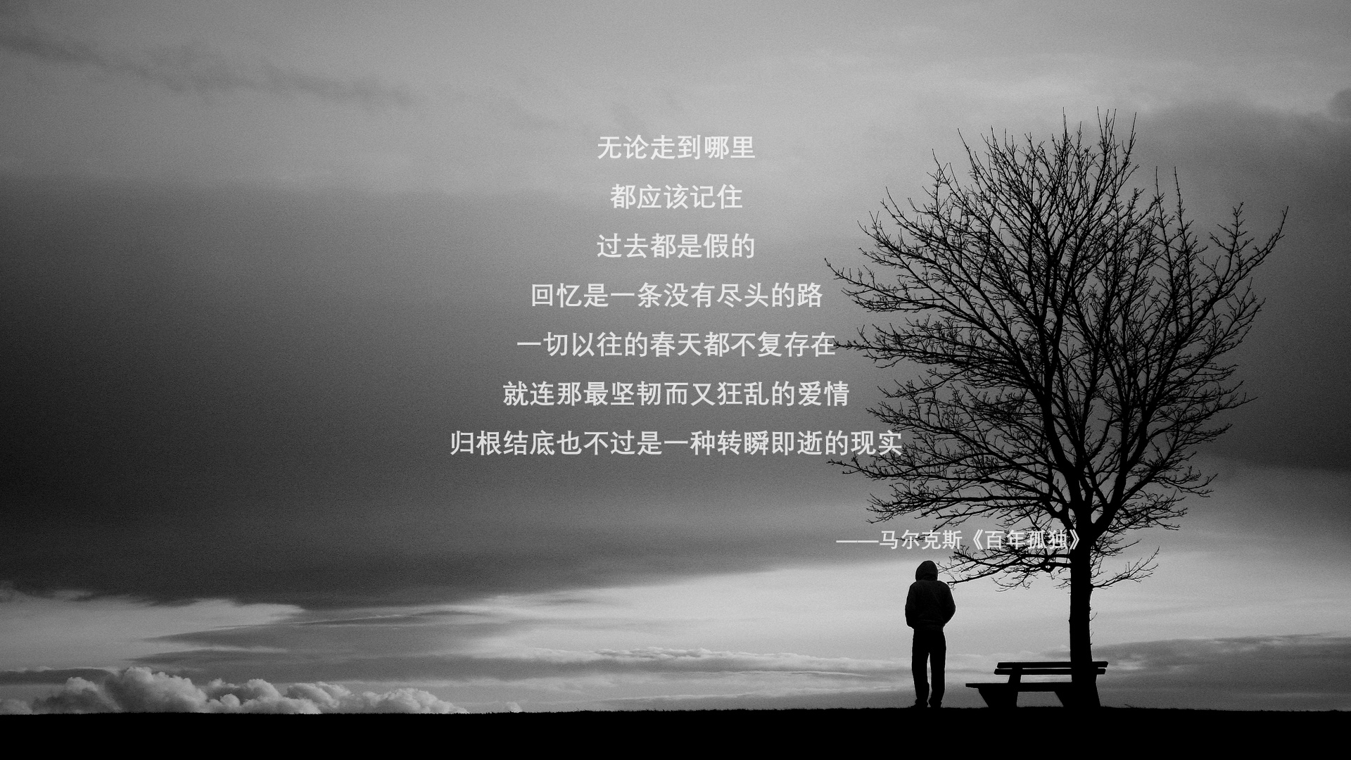 山东泰山获得胜利,距前四咫尺之遥,看一下山东泰山