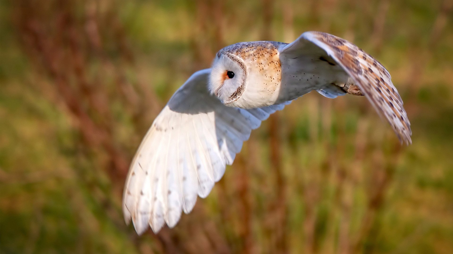 浙江稠州蓝队战胜对手,连续表现出色,浙江稠州男篮比赛日程