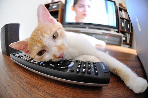 浙江稠州蓝队战胜对手,连续表现出色,浙江稠州男篮队员名单吴前