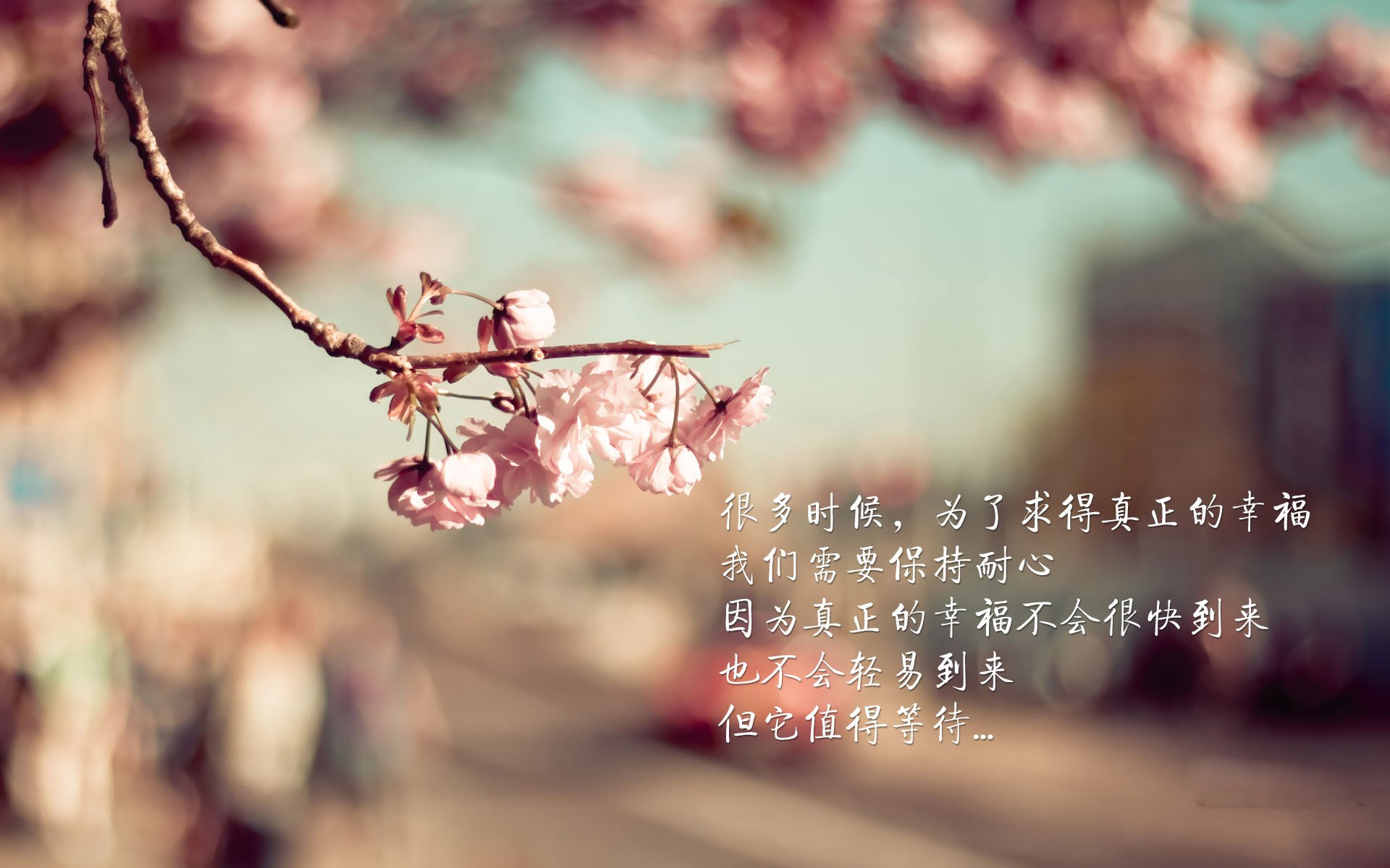 开云官网首页-精湛足球比赛中球队实现连胜，势不可挡，足球比赛中的队医