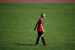 开云中国-世界青年滑板锦标赛中国少年夺奖，青少年滑板联赛