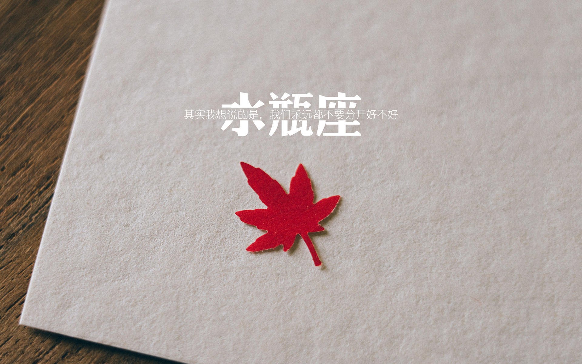 青年运动员成长轨迹清晰,中国青年运动员及成就