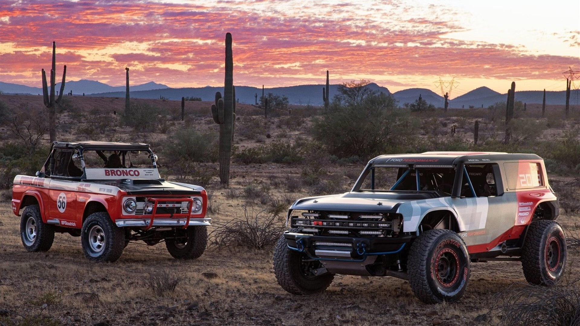 开云中国大陆-张雨霏个人泳池训练视频登热搜，张雨菲游泳照
