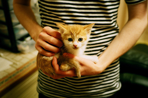 比利时男篮在欧洲预赛中奋勇争先,拳头硬竞技打响奥运冲刺战,比利时篮球联赛