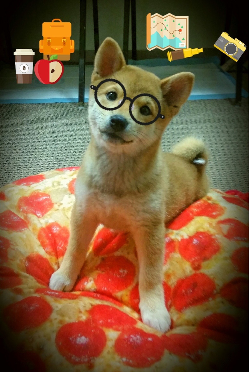 水球淘汰赛希腊男队顶住压力,奥运会希腊水球