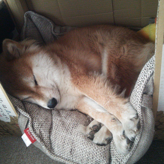 特斯·冯·迪克:以犀利的突破和快速反应,为南非队赢得关键进攻机会