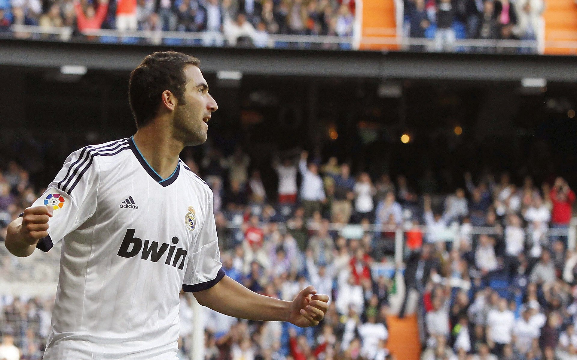 美洲杯激情激烈:逆境中崛起的队伍,美洲杯精彩集锦