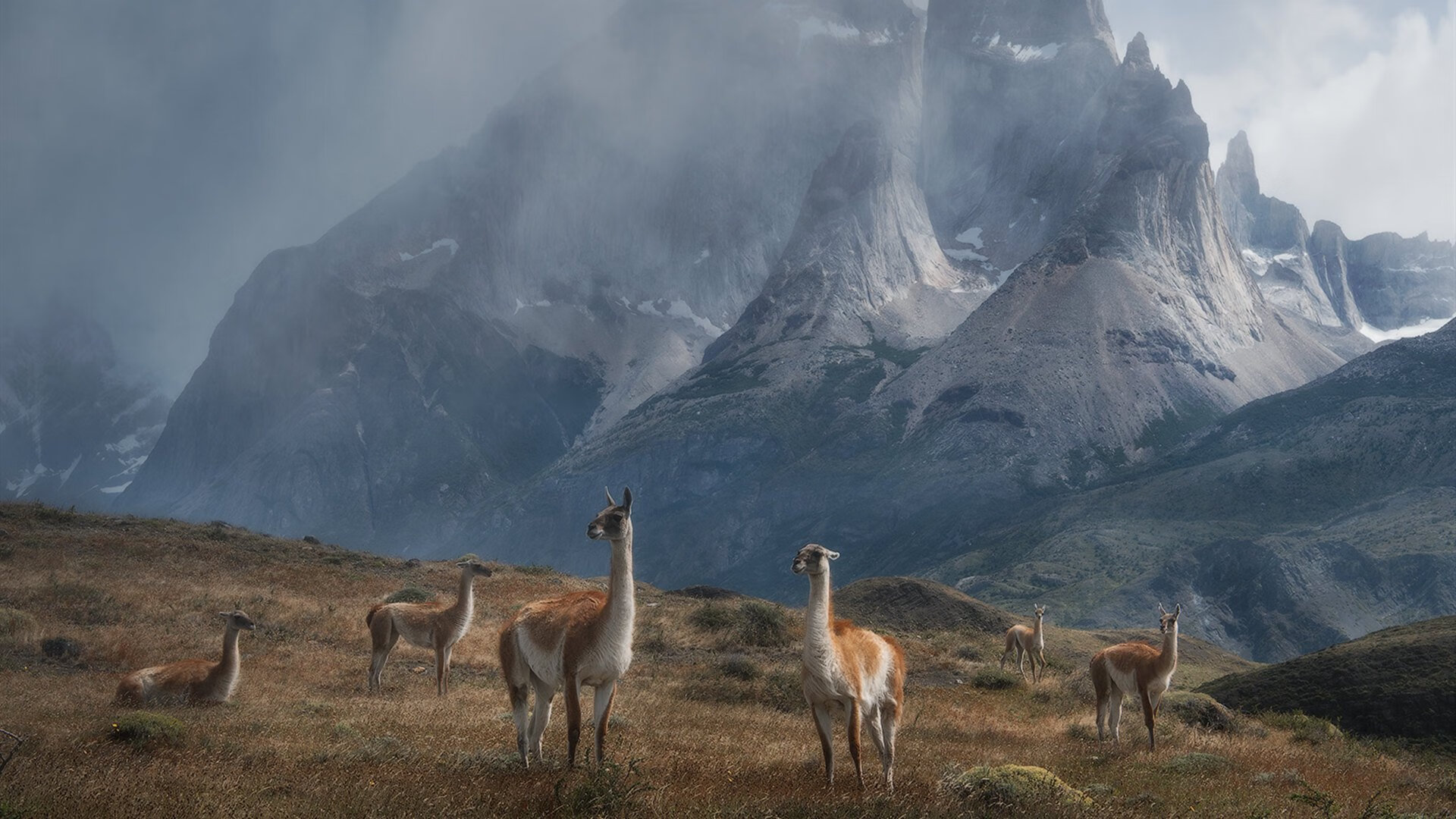足球联赛射手榜排名发生巨大变化,足球比赛射手榜