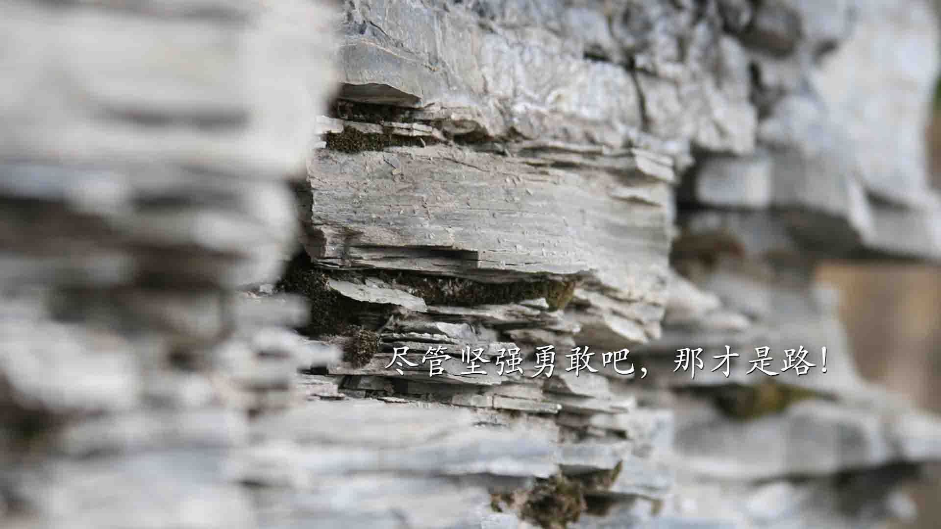 英超冲刺季:悬念逐渐升华,精彩不断!,英超争4